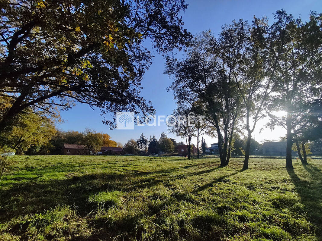 Terrain à PUYDANIEL