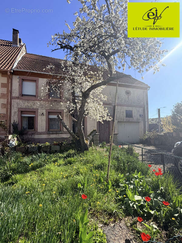 Maison à BOUSBACH
