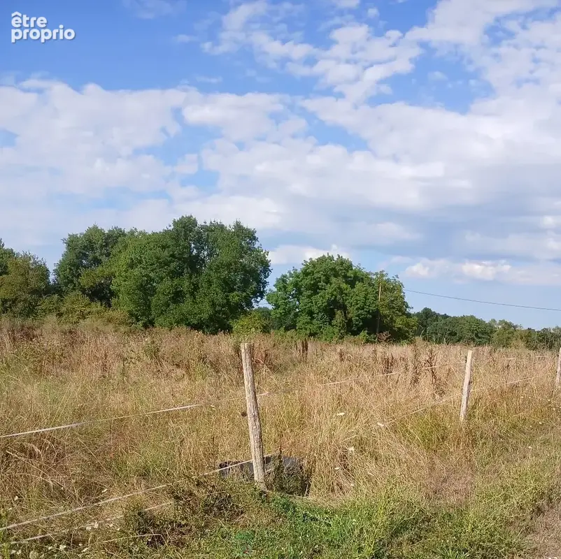 Terrain à RIBERAC