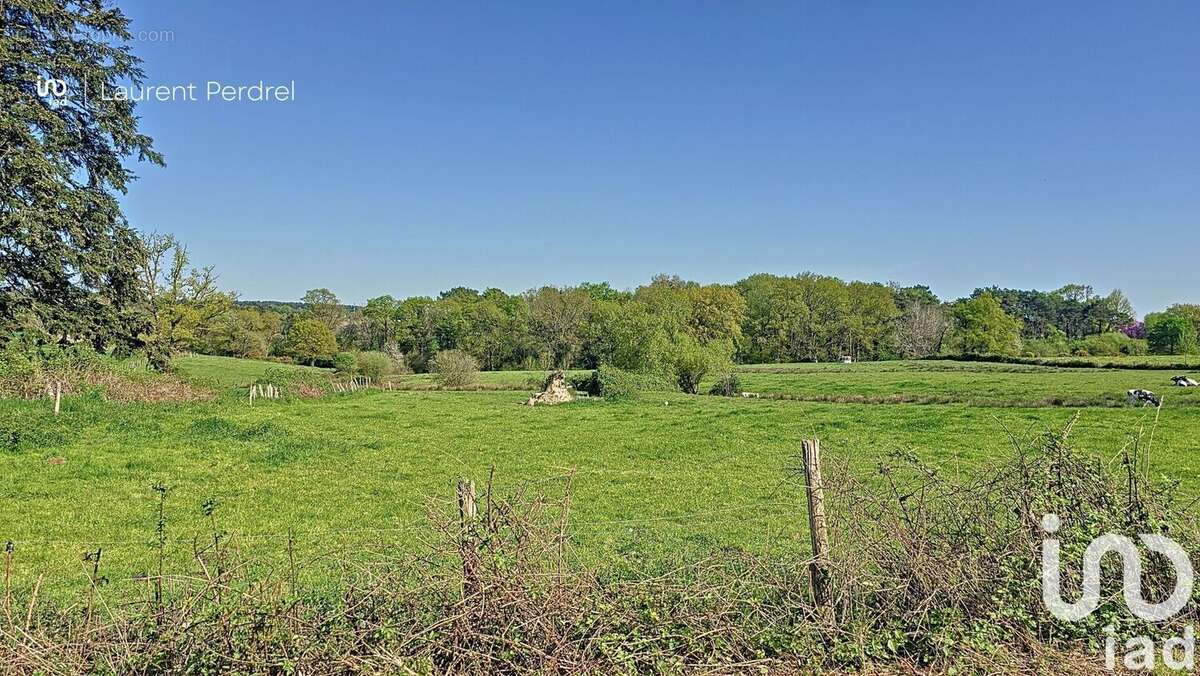 Photo 2 - Terrain à ALLAIRE