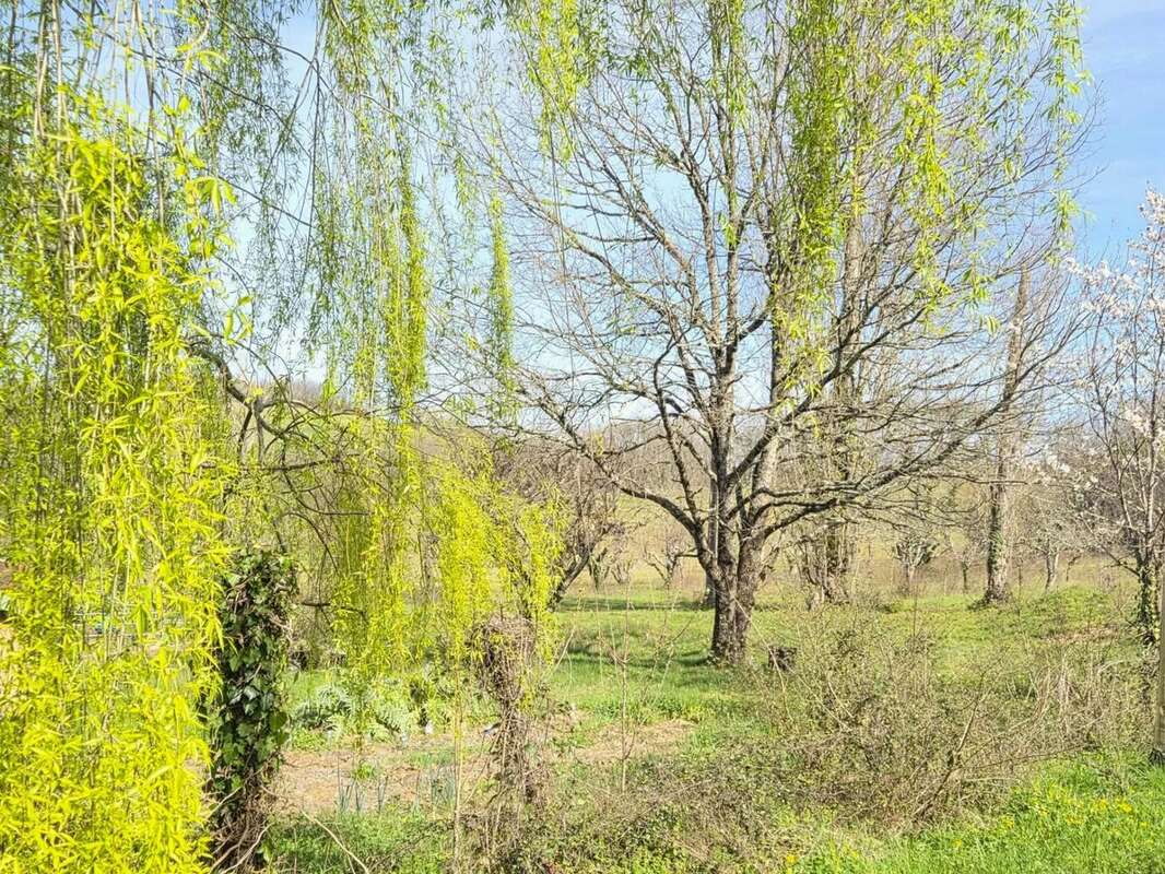 Maison à LISLE-SUR-TARN