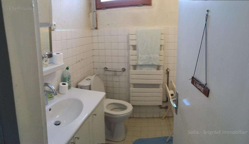 Grande maison entourée de son jardin de 5200m2 - photo 12
