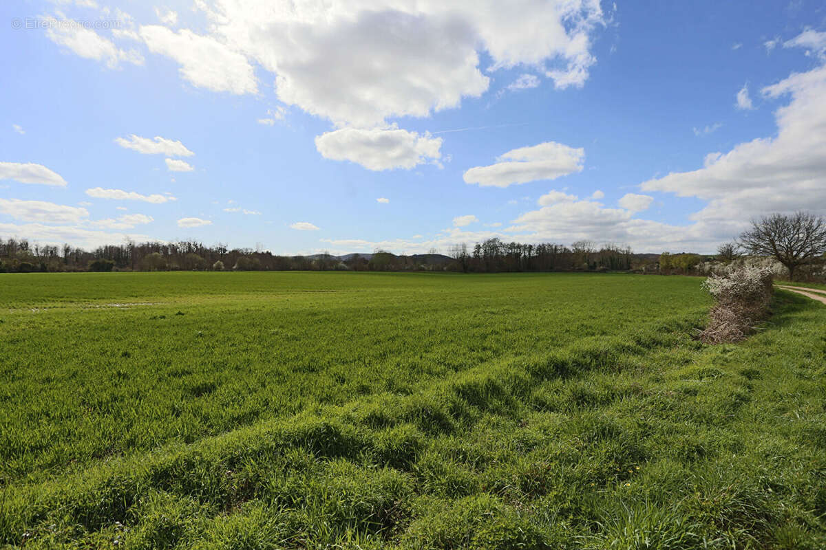 Terrain à SAINT-GERMAIN-DE-SALLES