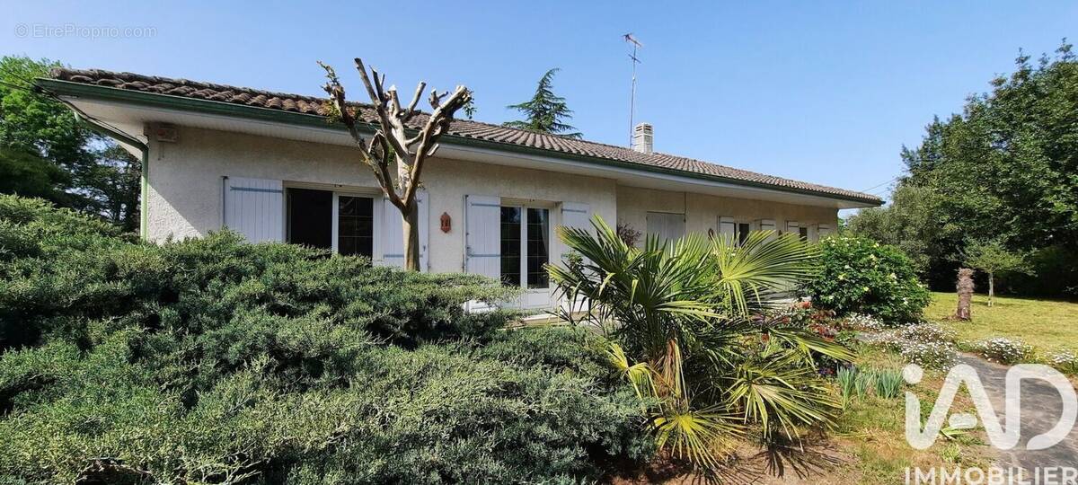 Photo 1 - Maison à LEOGNAN