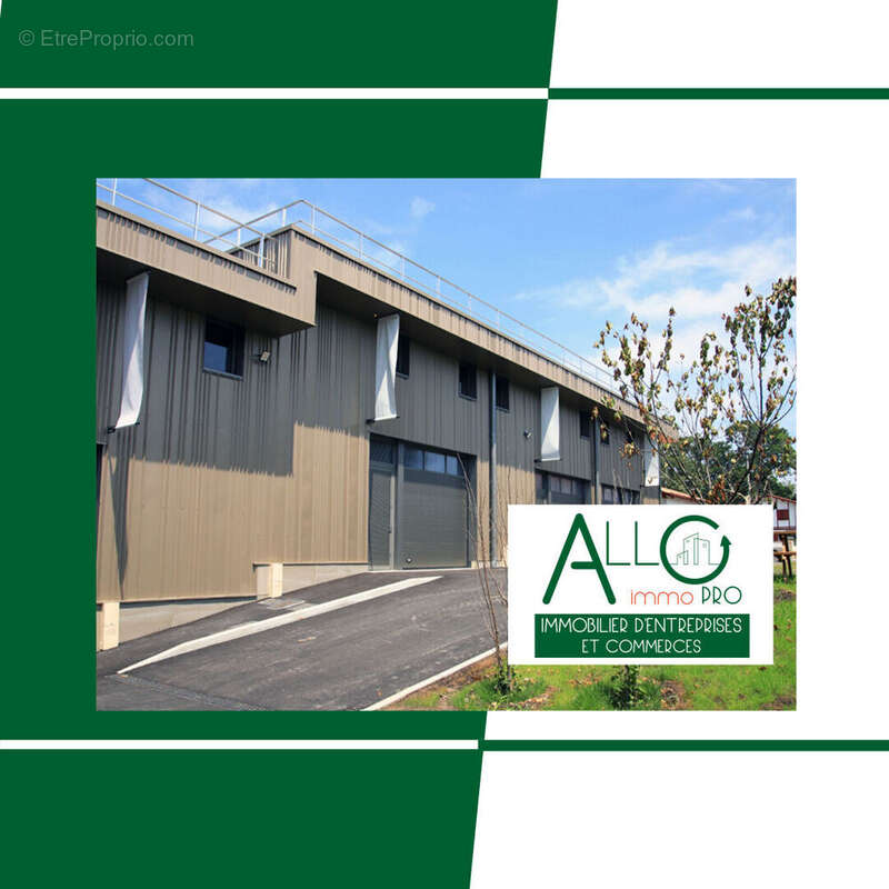 Commerce à USTARITZ