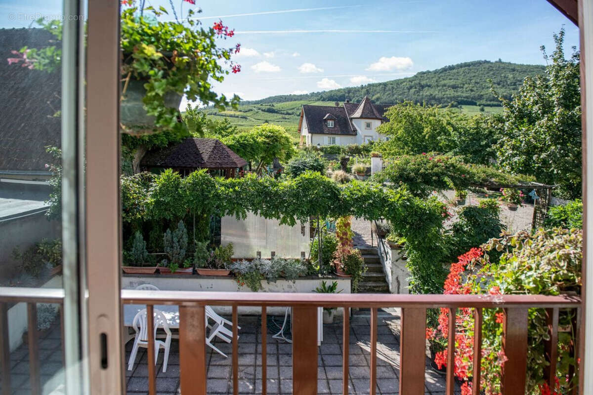 Appartement à AMMERSCHWIHR