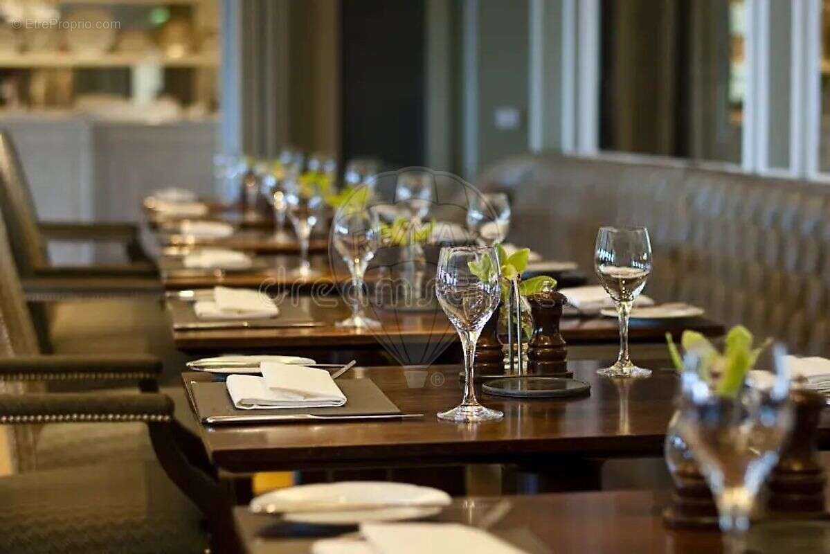 Commerce à SAINT-JULIEN-DE-CONCELLES