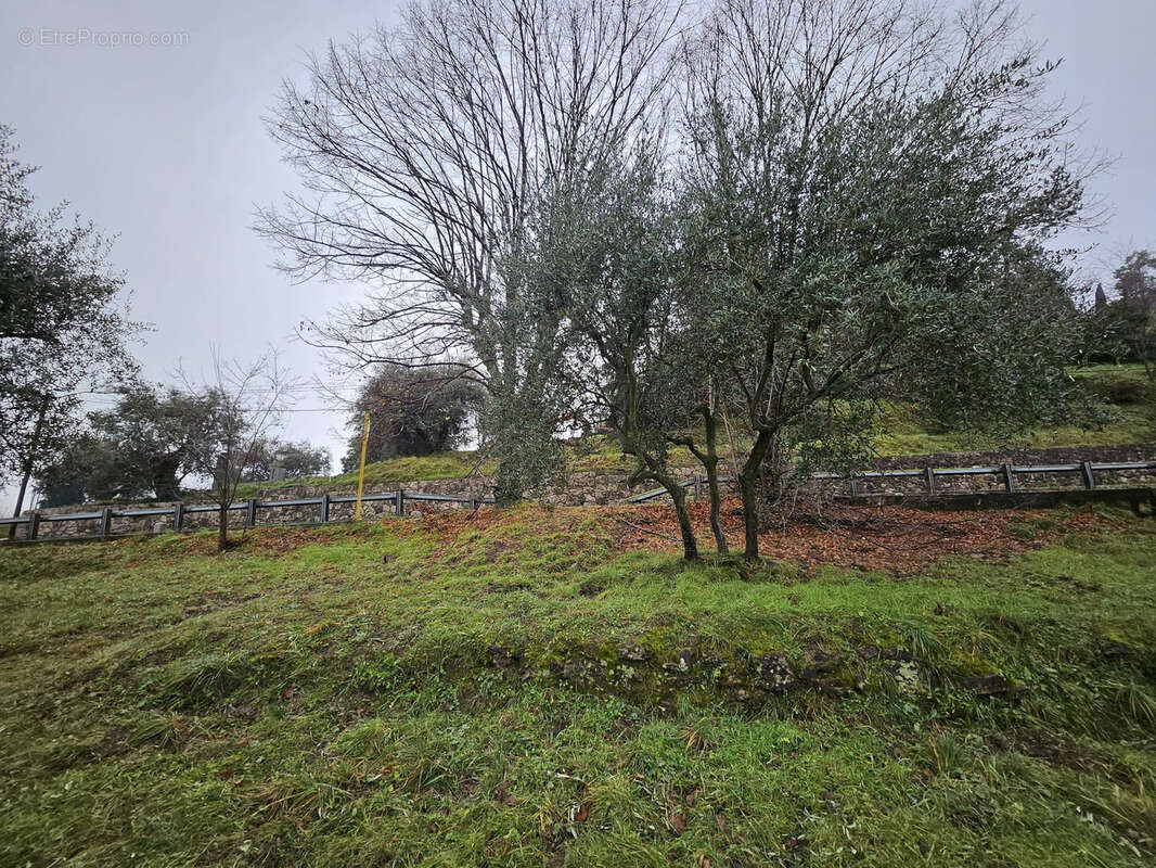 Terrain à BERRE-LES-ALPES