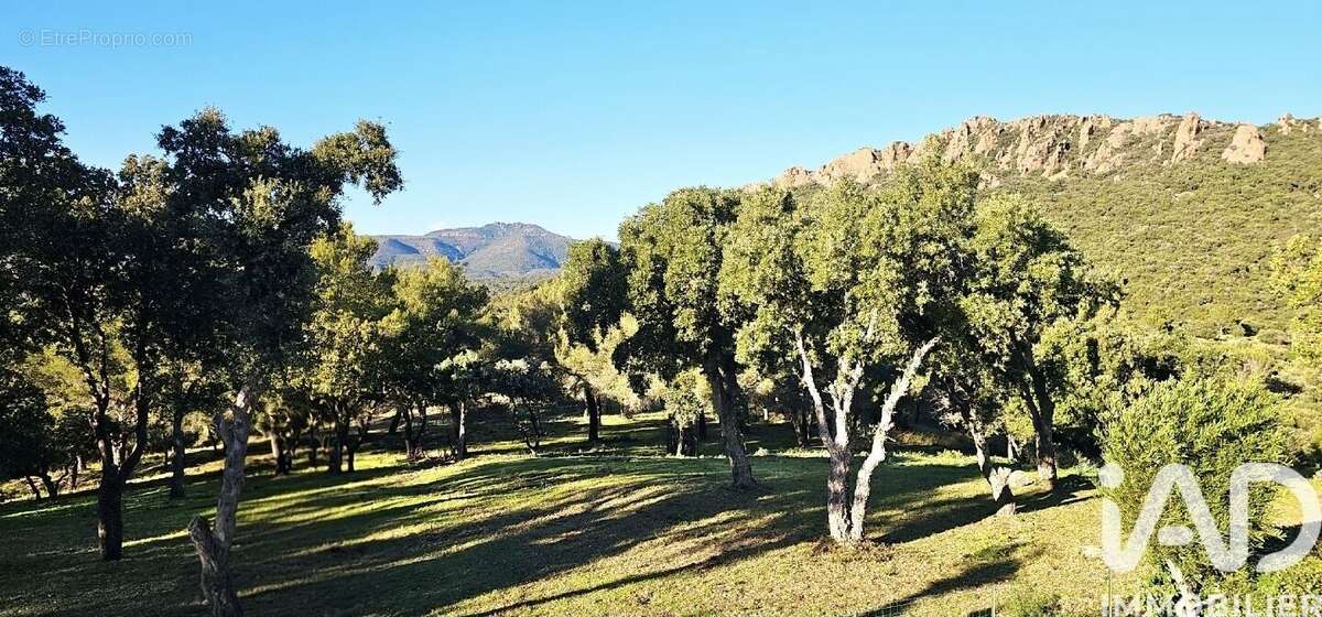 Photo 5 - Maison à LA SEYNE-SUR-MER