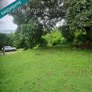 Photo 1 - Terrain à LE ROBERT