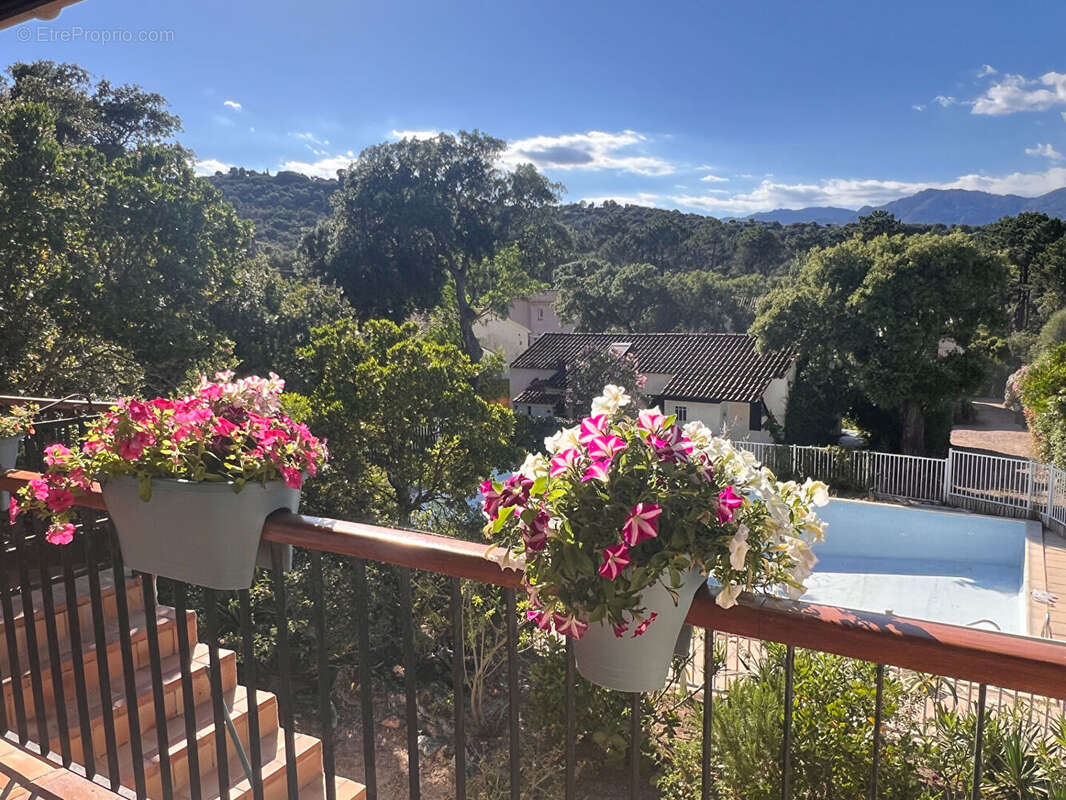 Maison à PORTO-VECCHIO