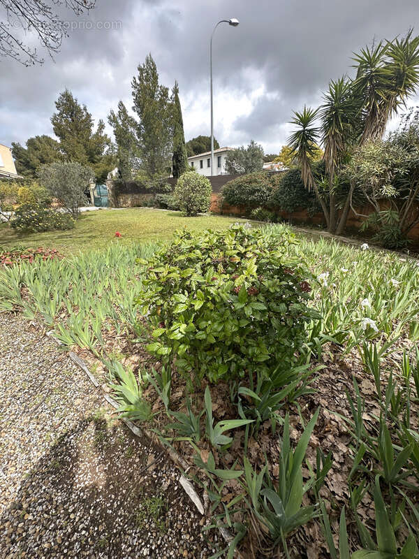 Maison à SANARY-SUR-MER
