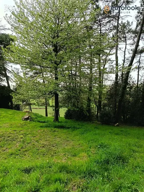 Maison à vendre Caro - photo 24