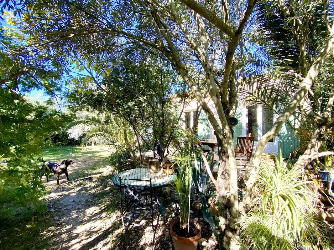 Maison à SAINTE-CECILE-LES-VIGNES