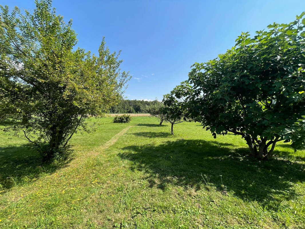 Terrain à VAULNAVEYS-LE-BAS