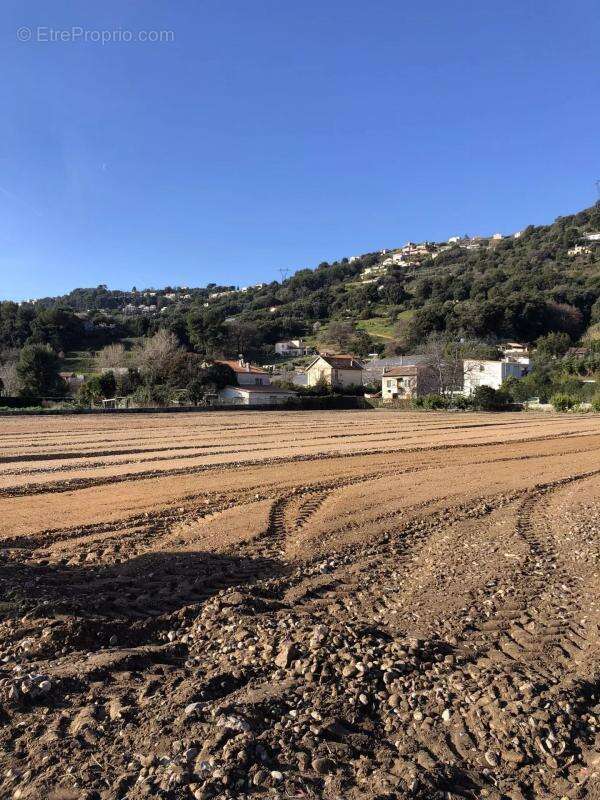 Commerce à SAINT-LAURENT-DU-VAR