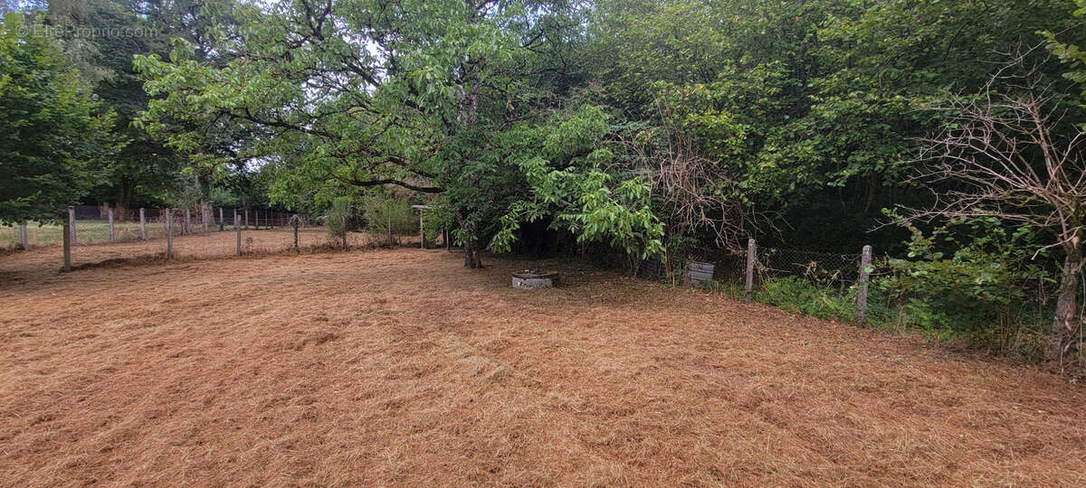Pavillon familial avec vie de plain-pied dans un secteur recherché ! - photo 22
