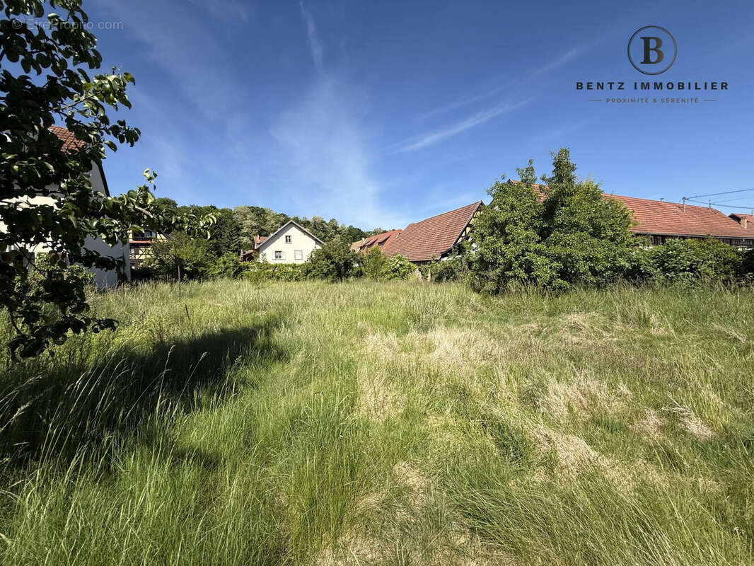 Terrain à bâtir 1 - Maison à MUNDOLSHEIM