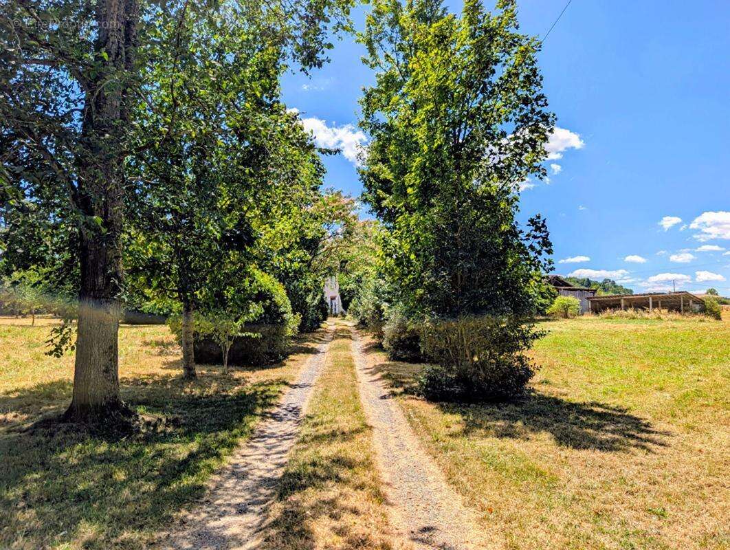 Maison Pouy De Touges 7 pièces 253 m2 avec 14 hectares - photo 18