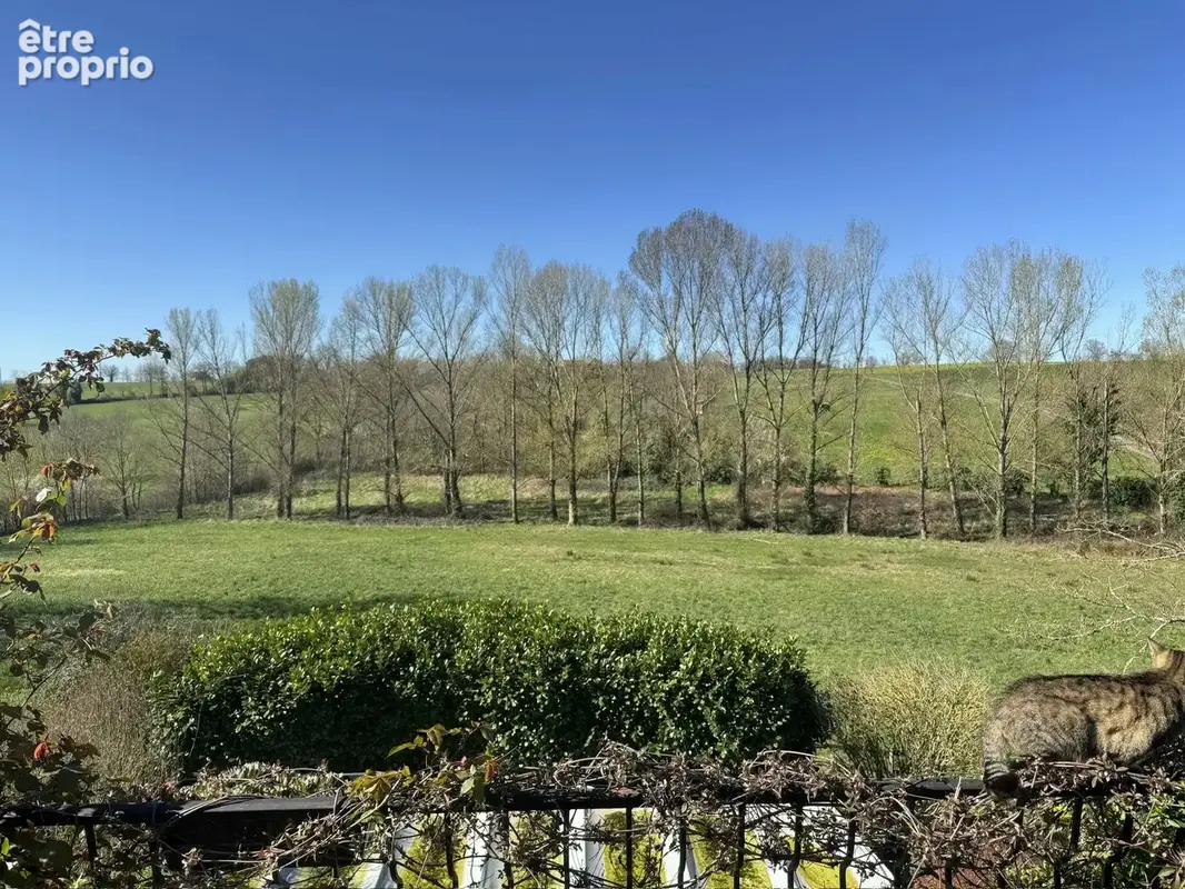 Charmante maison en pierre dans le Tarn avec gîte, piscine et écurie - photo 19