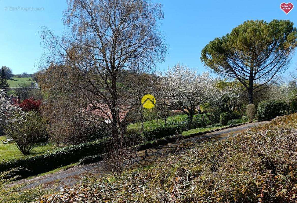 Maison à LE BUISSON-DE-CADOUIN