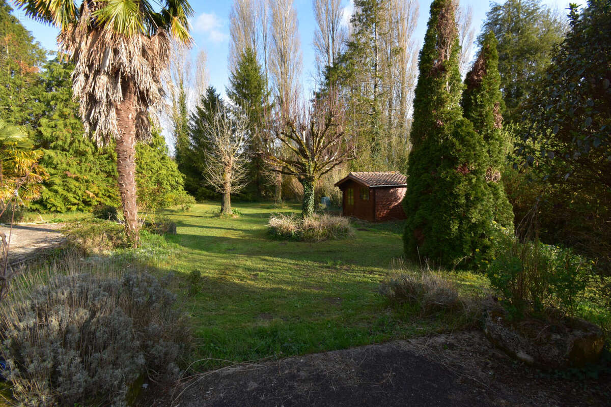 DSC_0037 - Maison à L&#039;ISLE-D&#039;ESPAGNAC