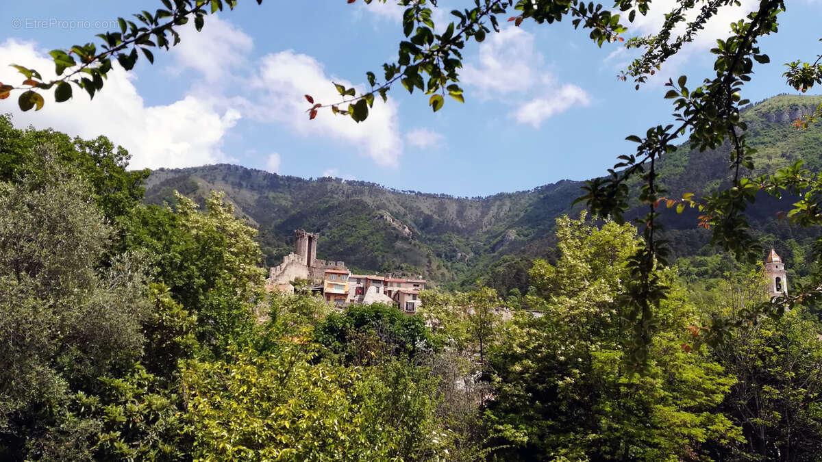 LUCERAM - 25 Km de  Nice - Une demeure niçoise de caractère en pierres et aux influences italiennes. - photo 31