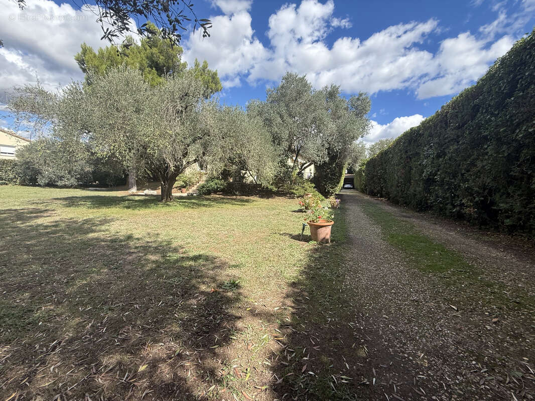 Maison à CAISSARGUES