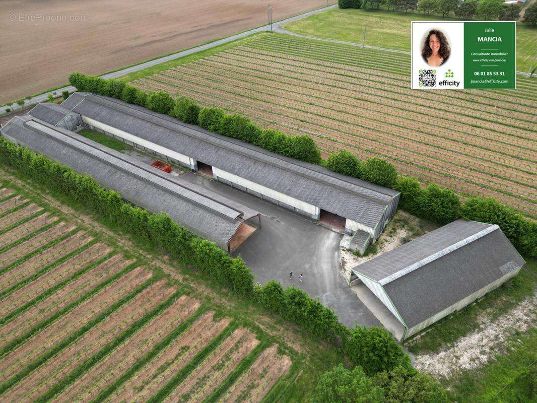 Commerce à ANGOULEME