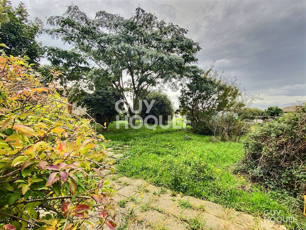 Terrain à SAINT-LAURENT-DE-MURE