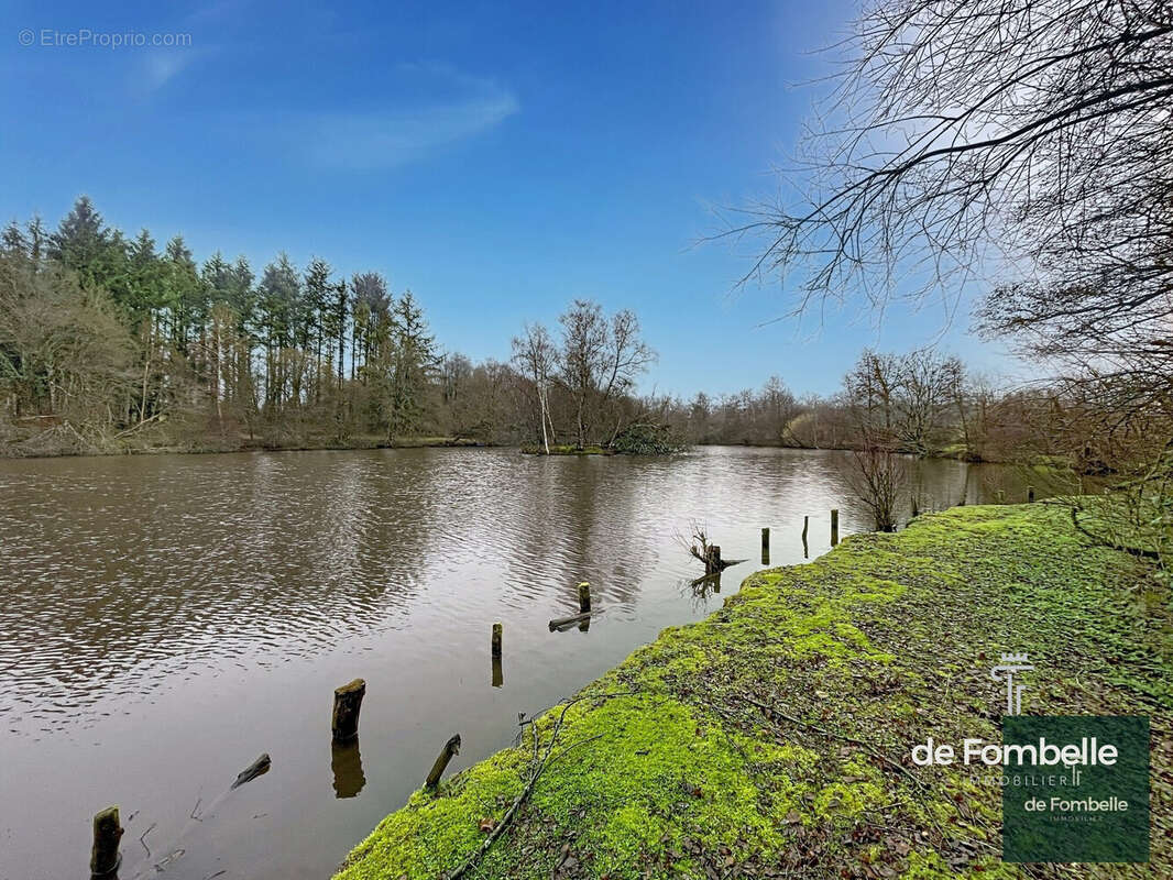 Terrain à MAGNY-LE-DESERT