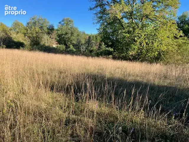 Terrain constructible à vendre à Saint Martial de Nabirat - 2 350m2 - photo 6