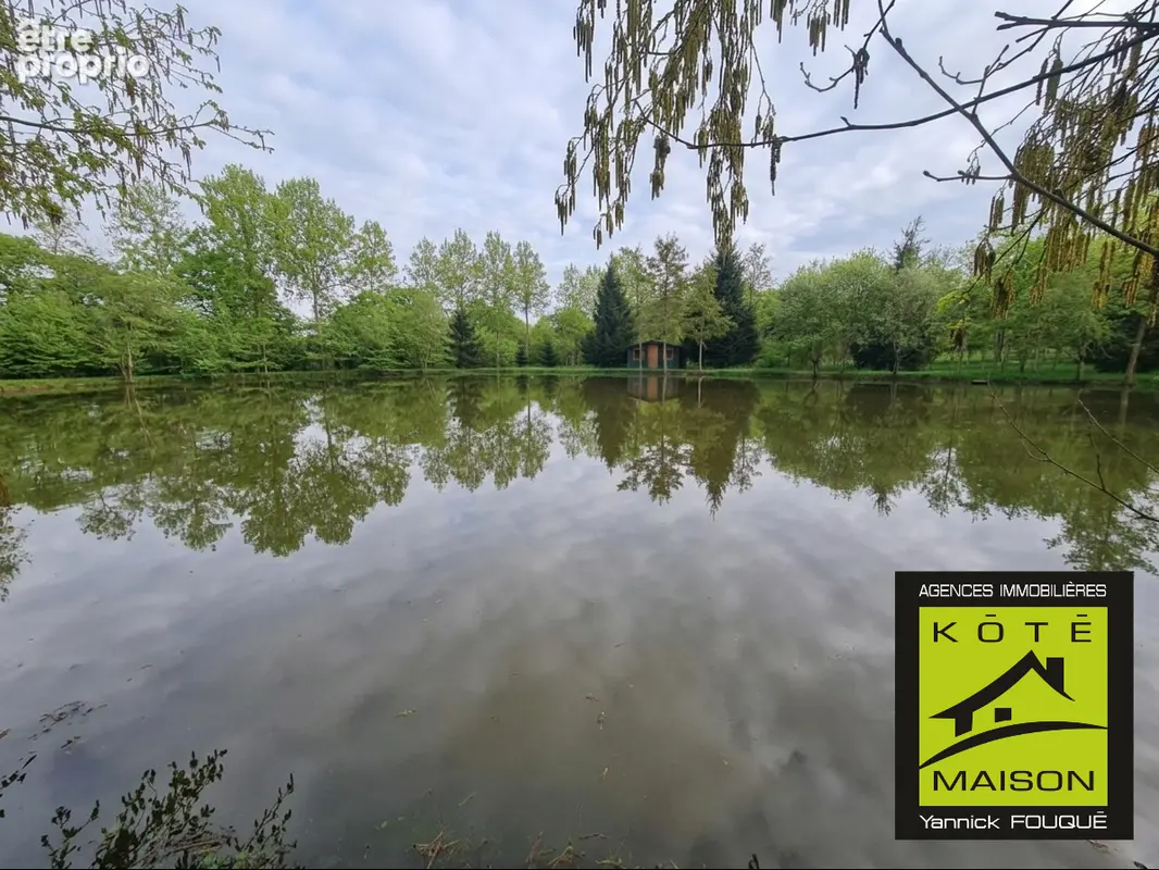 Plan d'eau et bois sur 47 800 m²  -  sortie d'alencon - photo 2