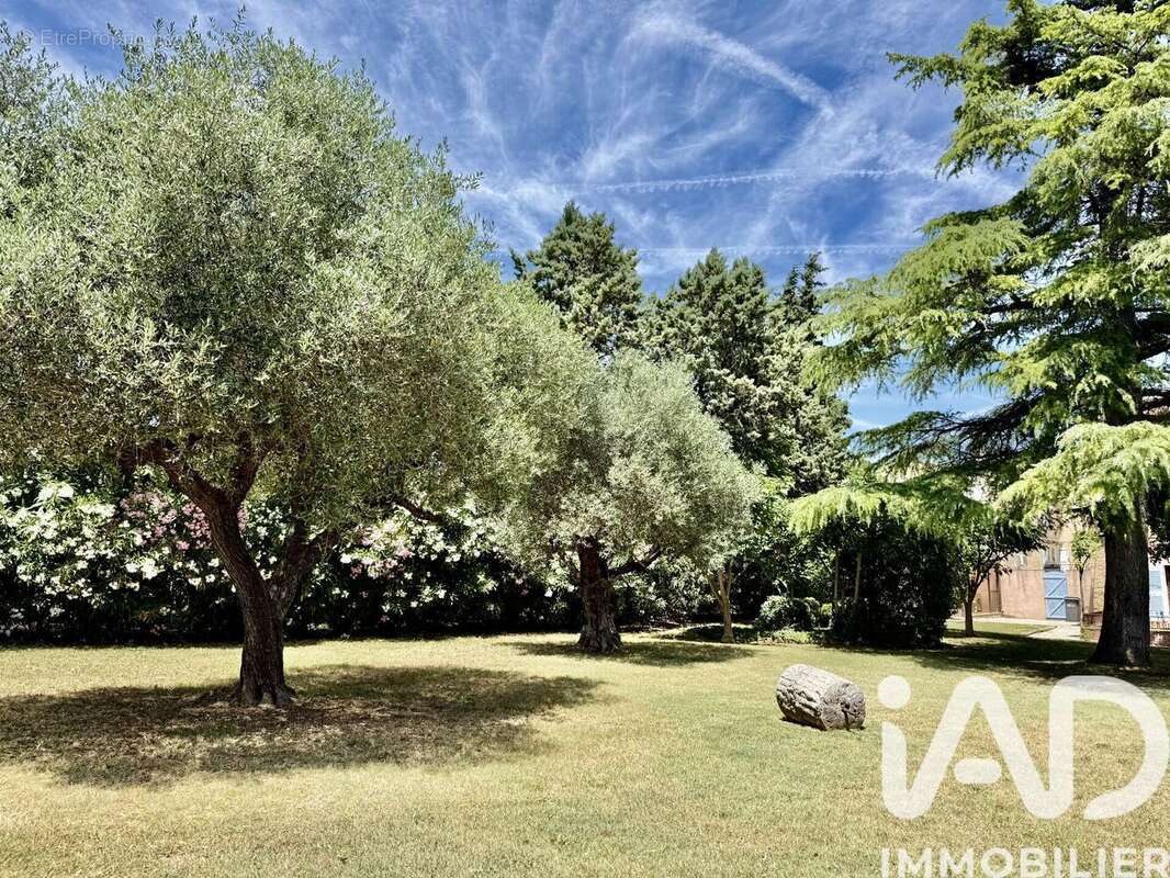 Photo 4 - Maison à LE CANNET-DES-MAURES