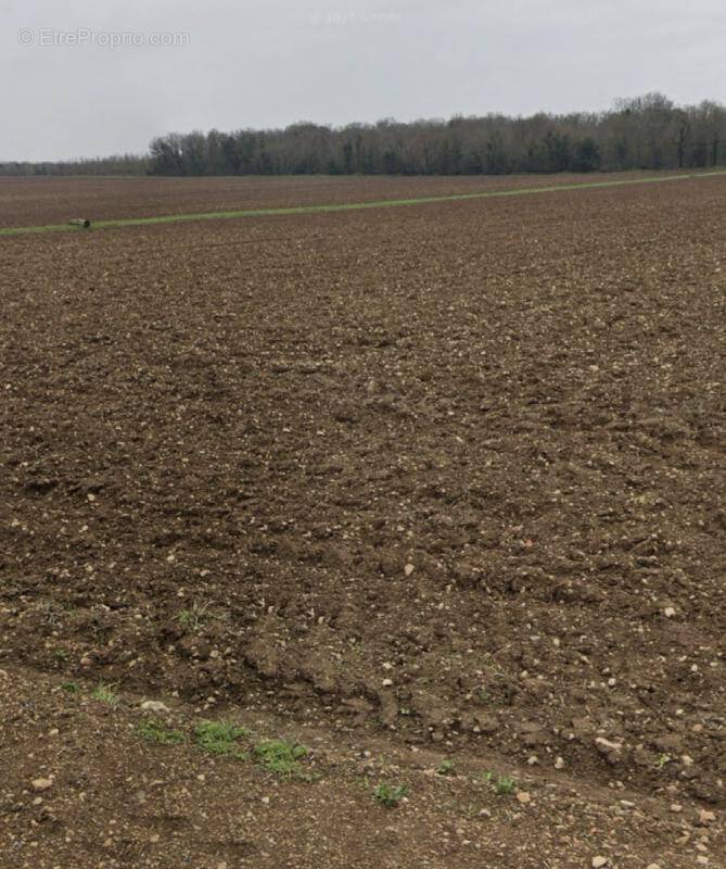 Terrain à SAINT-XANDRE