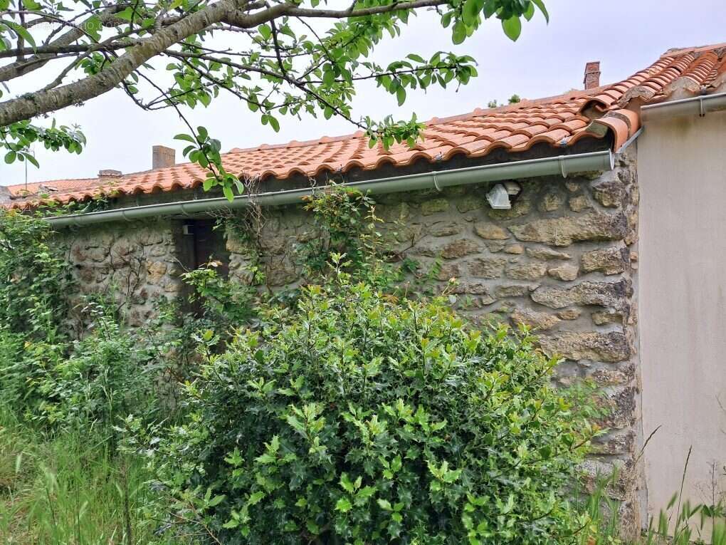 Maison à BOUIN