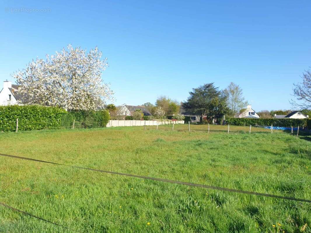 Photo 2 - Terrain à BOBITAL