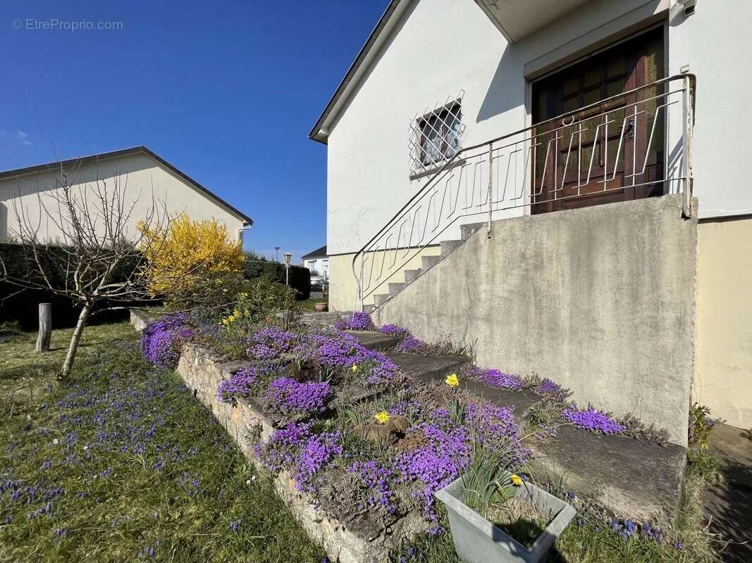 Maison à MONDELANGE