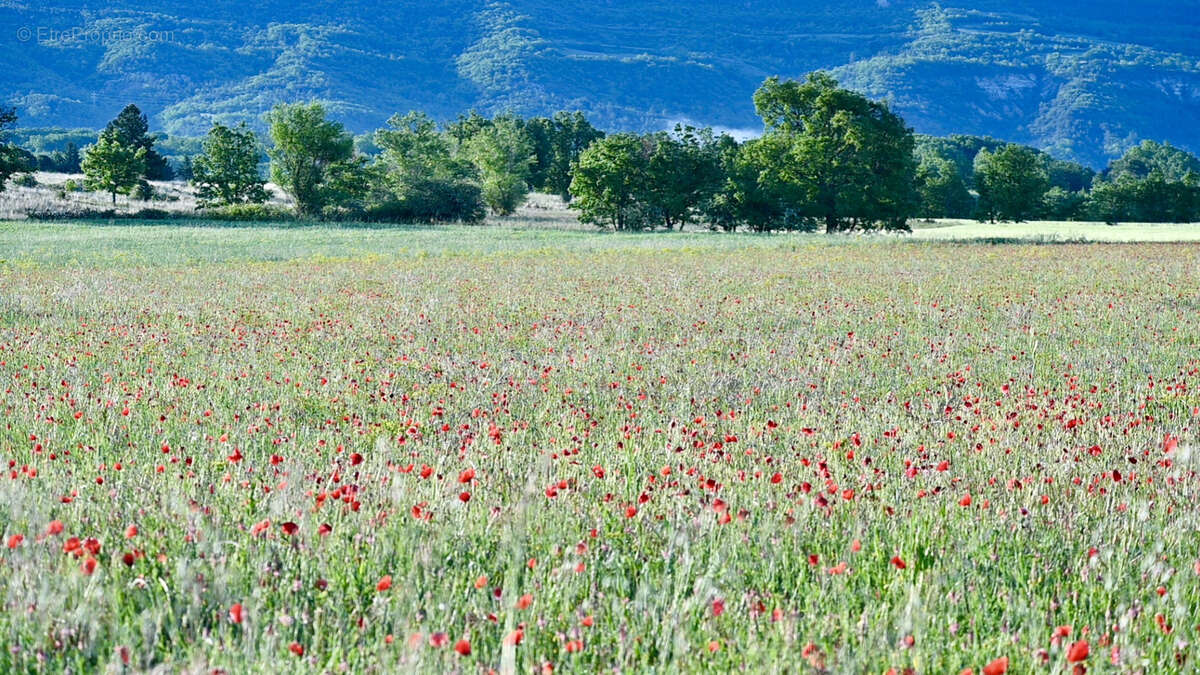 Maison à FORCALQUIER