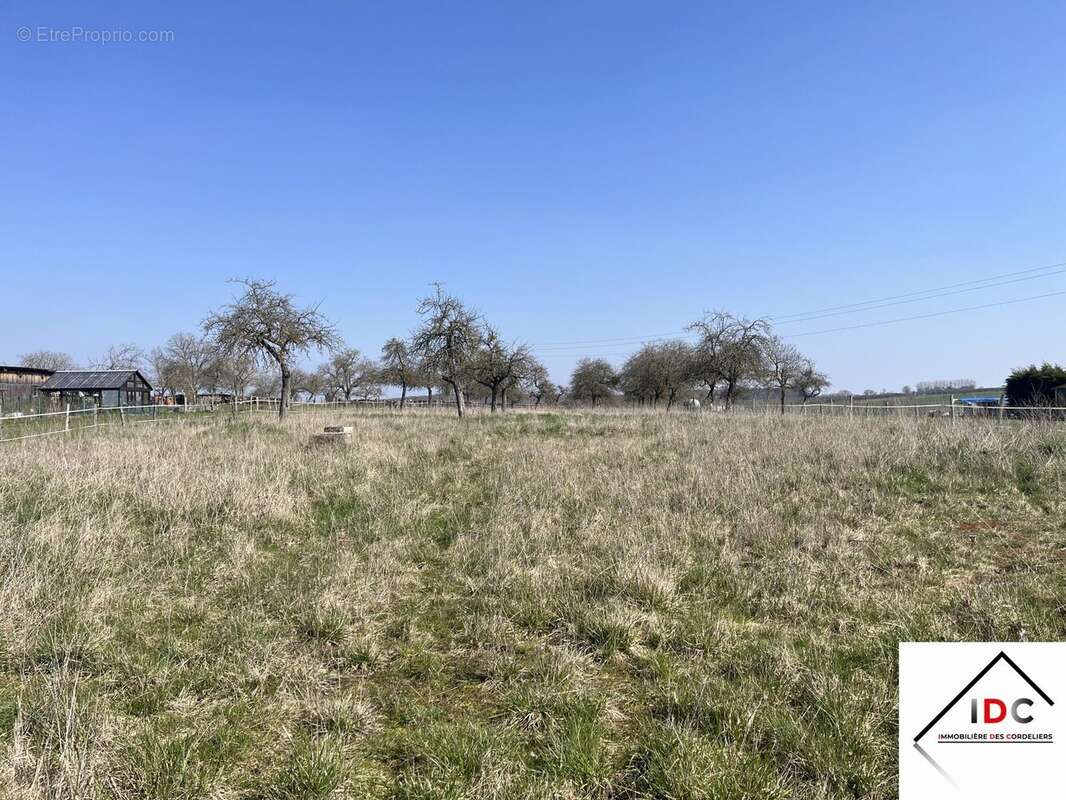 Terrain à ASSWILLER