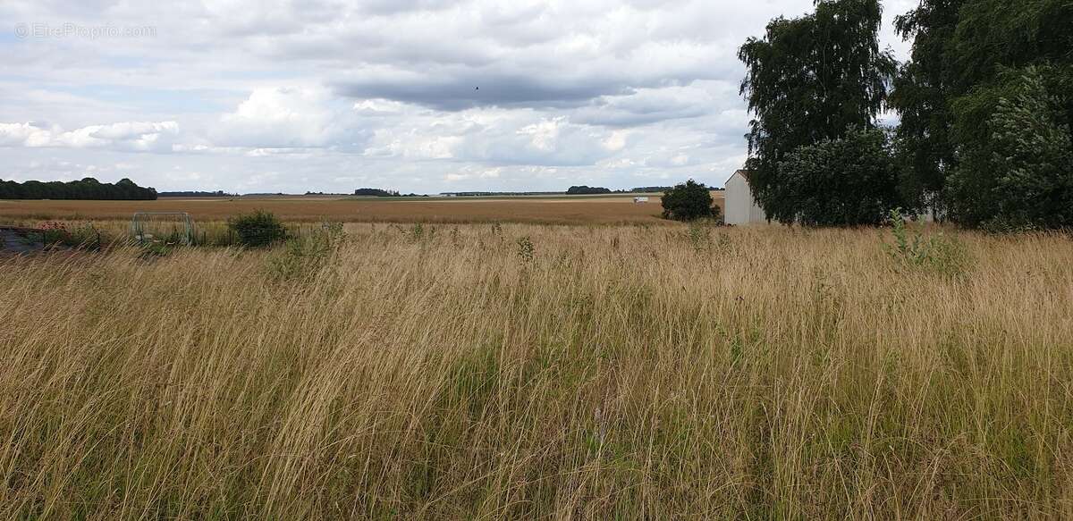 Terrain à VAUCHAMPS