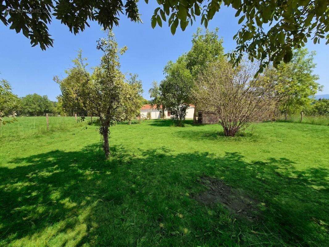Maison Augerolles 5 pièces +/- 100 m2 avec jardin 1500m2 environ - photo 4