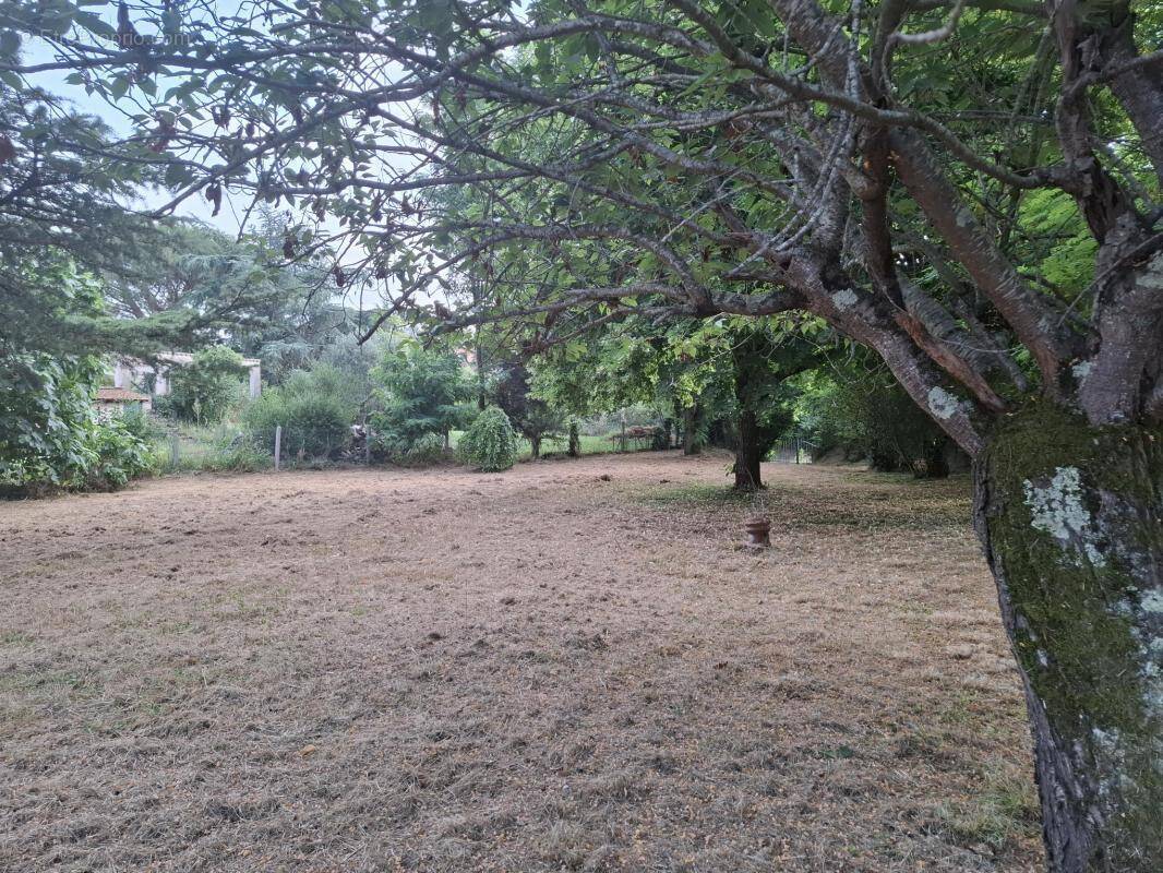 Terrain à DEYME