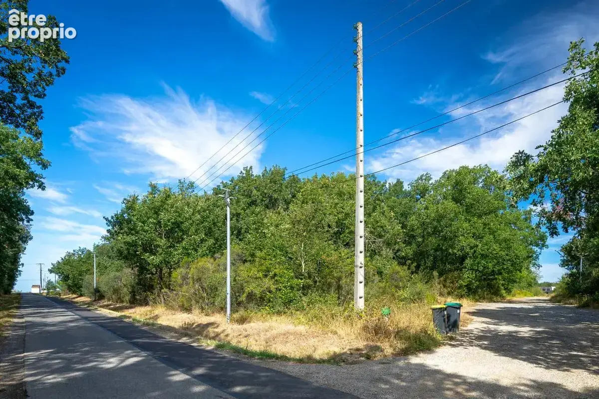 Terrain - 26 610 m² - Aussonne (31) - photo 4