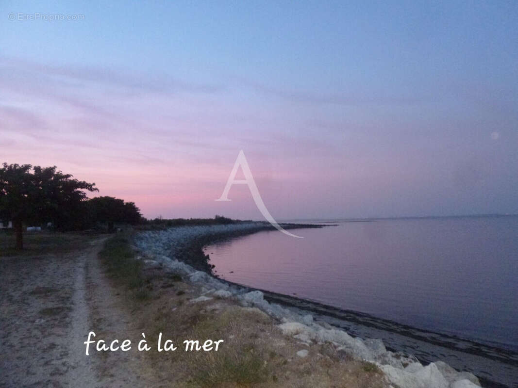 Maison Ile d'Oléron -  Face à la mer... - photo 9