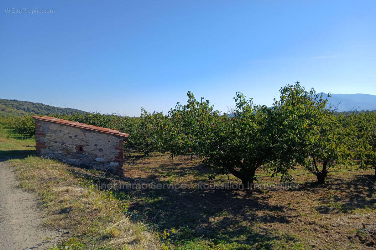 Terrain à CERET