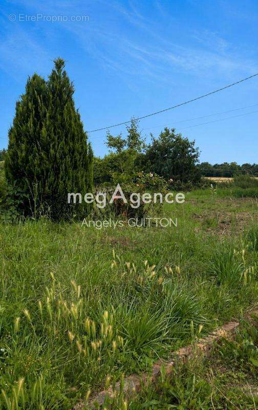 Fermette au bout d'une impasse, 12 minutes du Mans, terrain 3800 m² - photo 11
