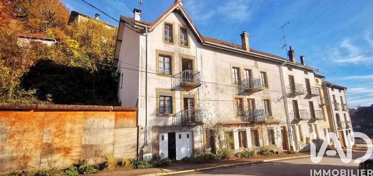 Photo 1 - Maison à PLOMBIERES-LES-BAINS
