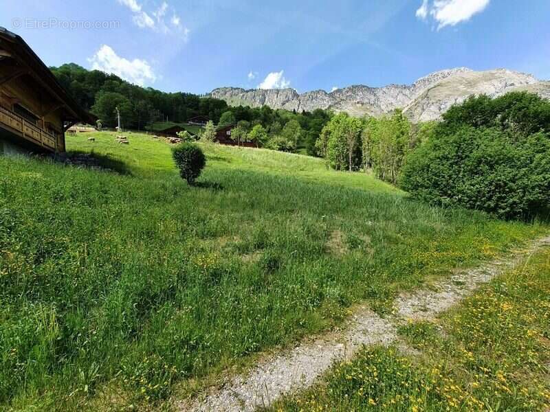 Terrain à ABONDANCE