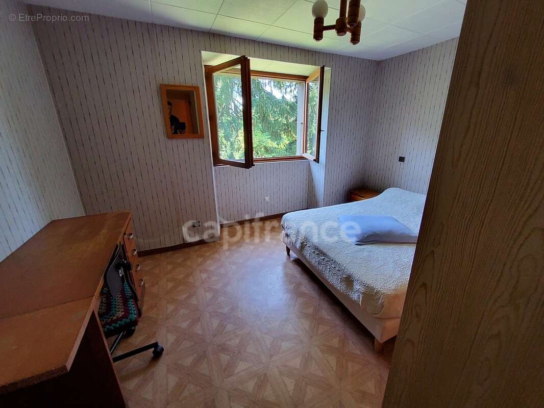 Maison à vendre 6 pièces SAINT FELIX (74) - photo 6